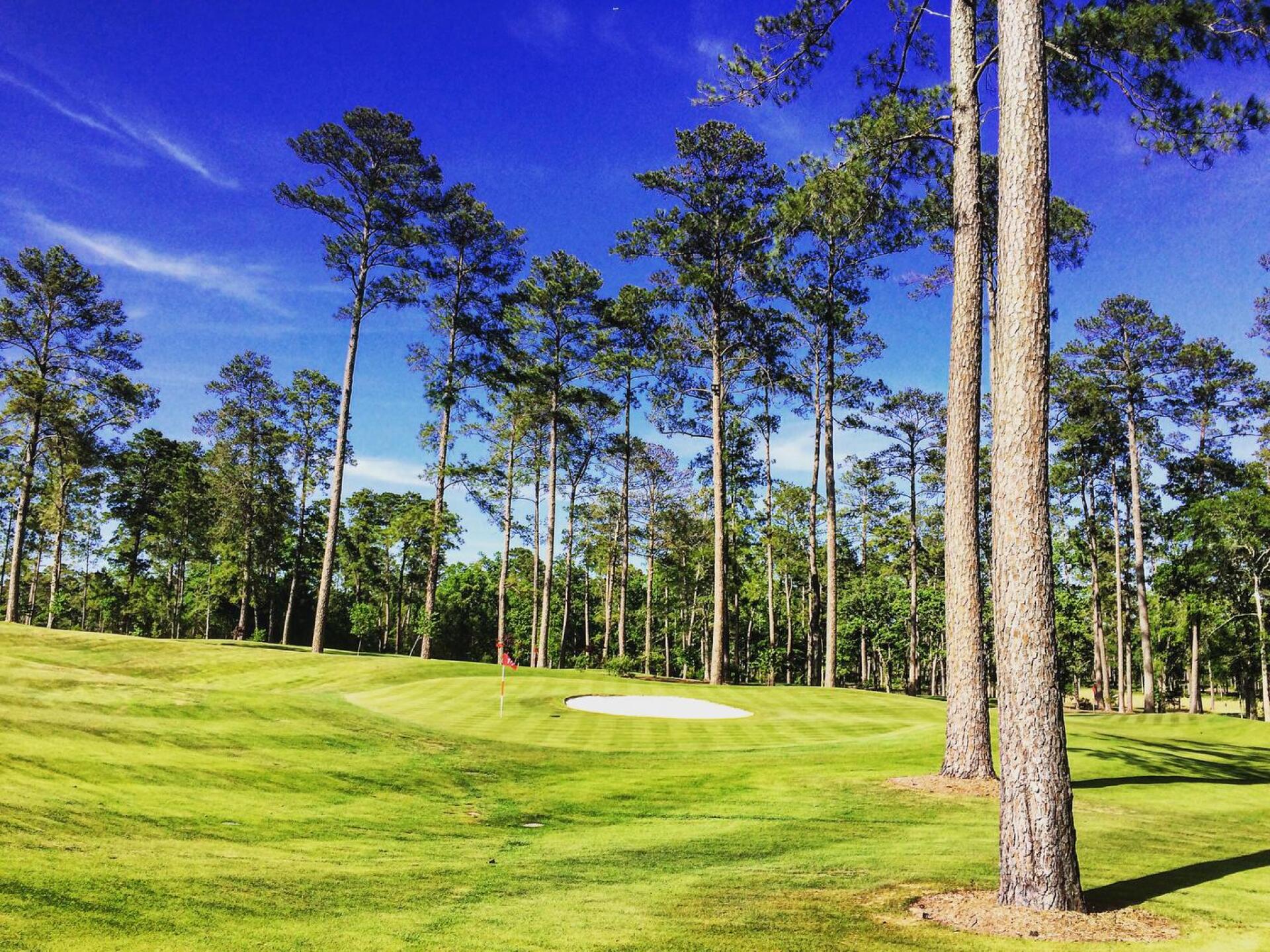 (Photo submitted by BrandonTuckerGA on 05/11/2016)