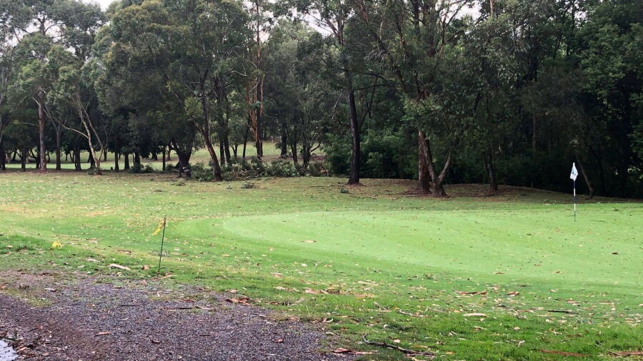 Gordon GC