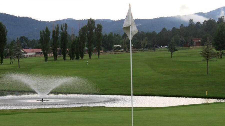 Cree Meadows CC: #9