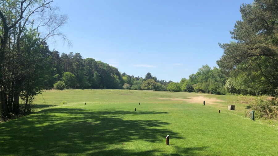 Bramshaw GC - Forest: #9