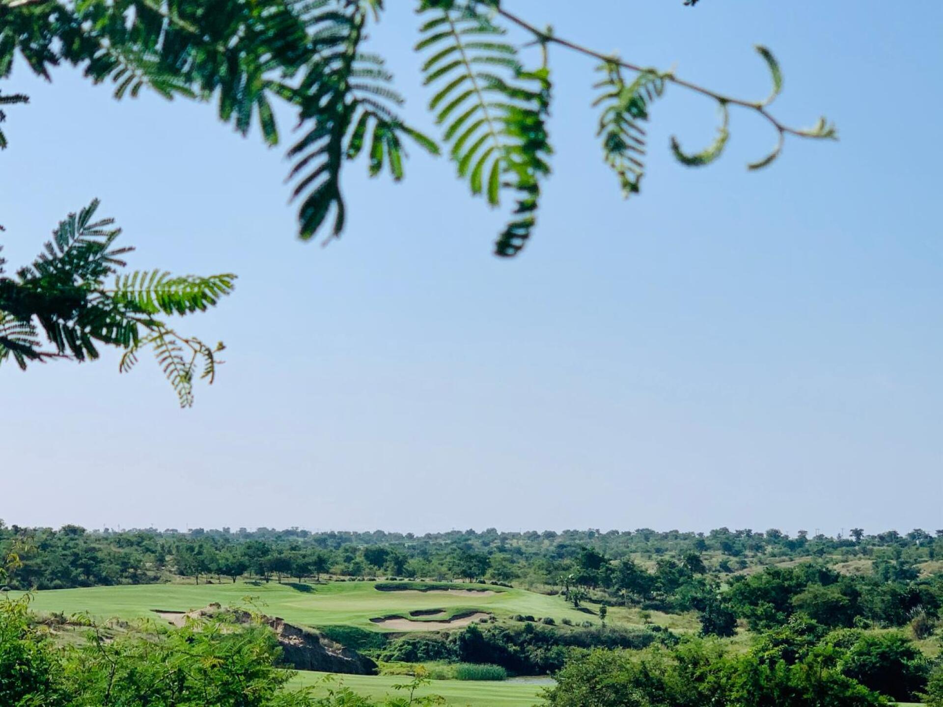 (Photo submitted by 2dN553cBb4wj1NNAE7QL on 11/15/2019)