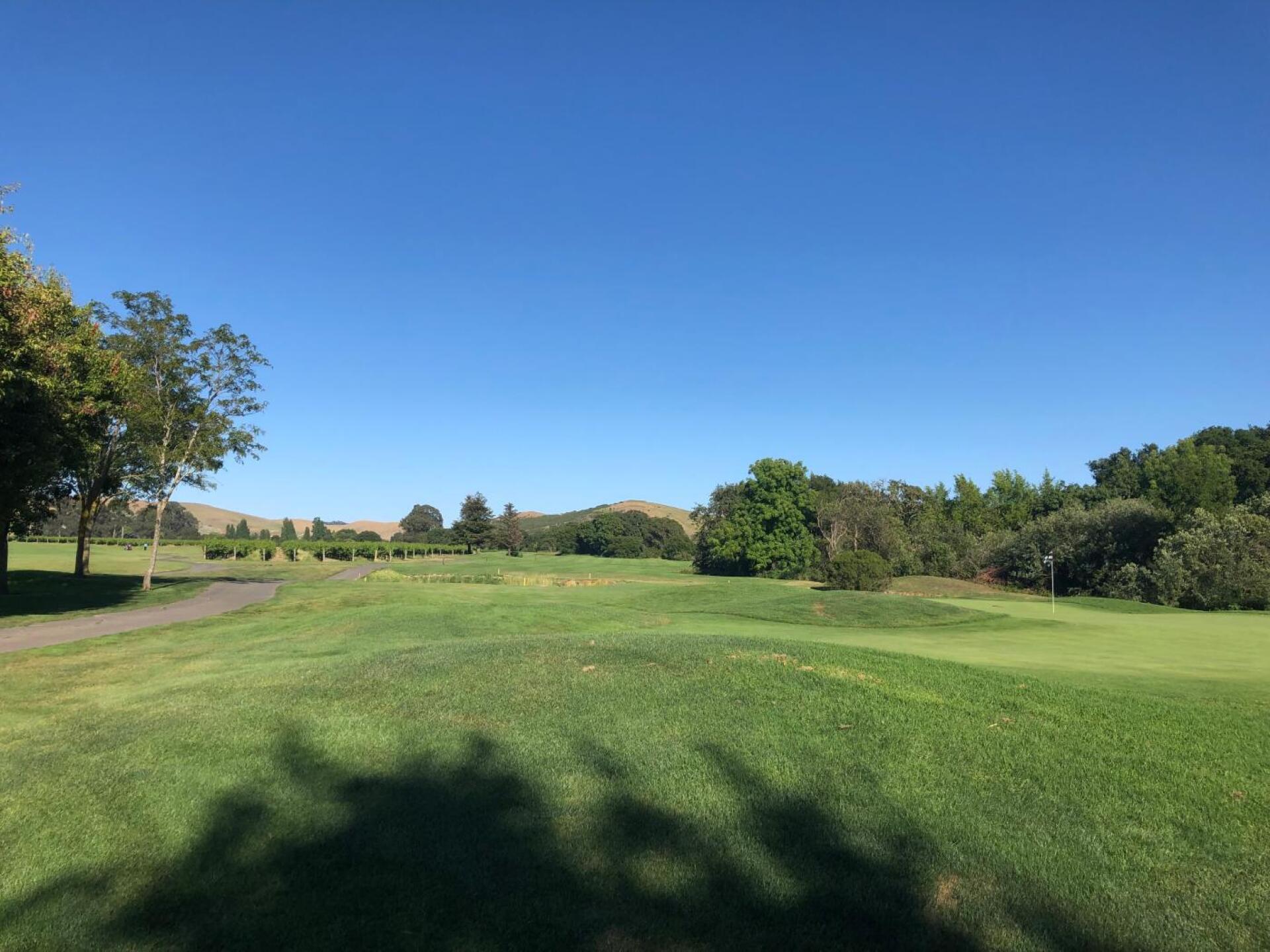 (Photo submitted by MJDCA on 06/22/2019)