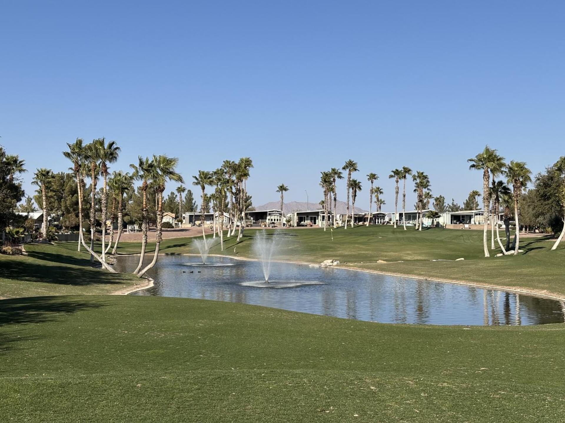 (Photo submitted by u512456434 on 02/04/2025)