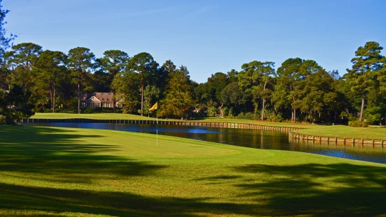 Palmetto Dunes Oceanfront Resort - Arthur Hills golf course - 8th