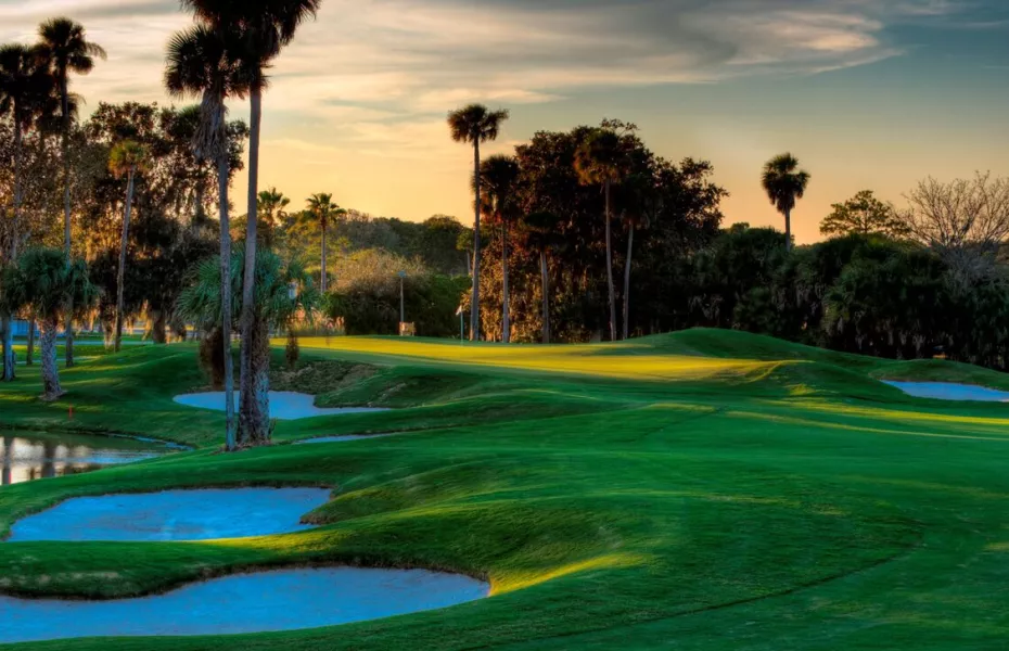 Palm Harbor GC: #13