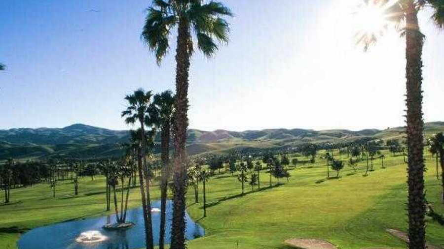 Palm at Sunol Valley GC: #18