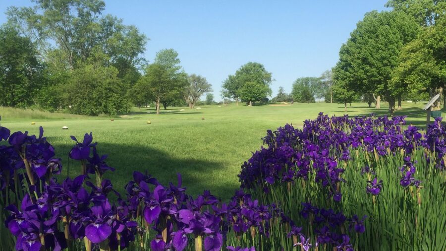 Hillview CC: #16