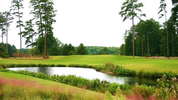 24+ Hedingham Golf Course Raleigh Nc