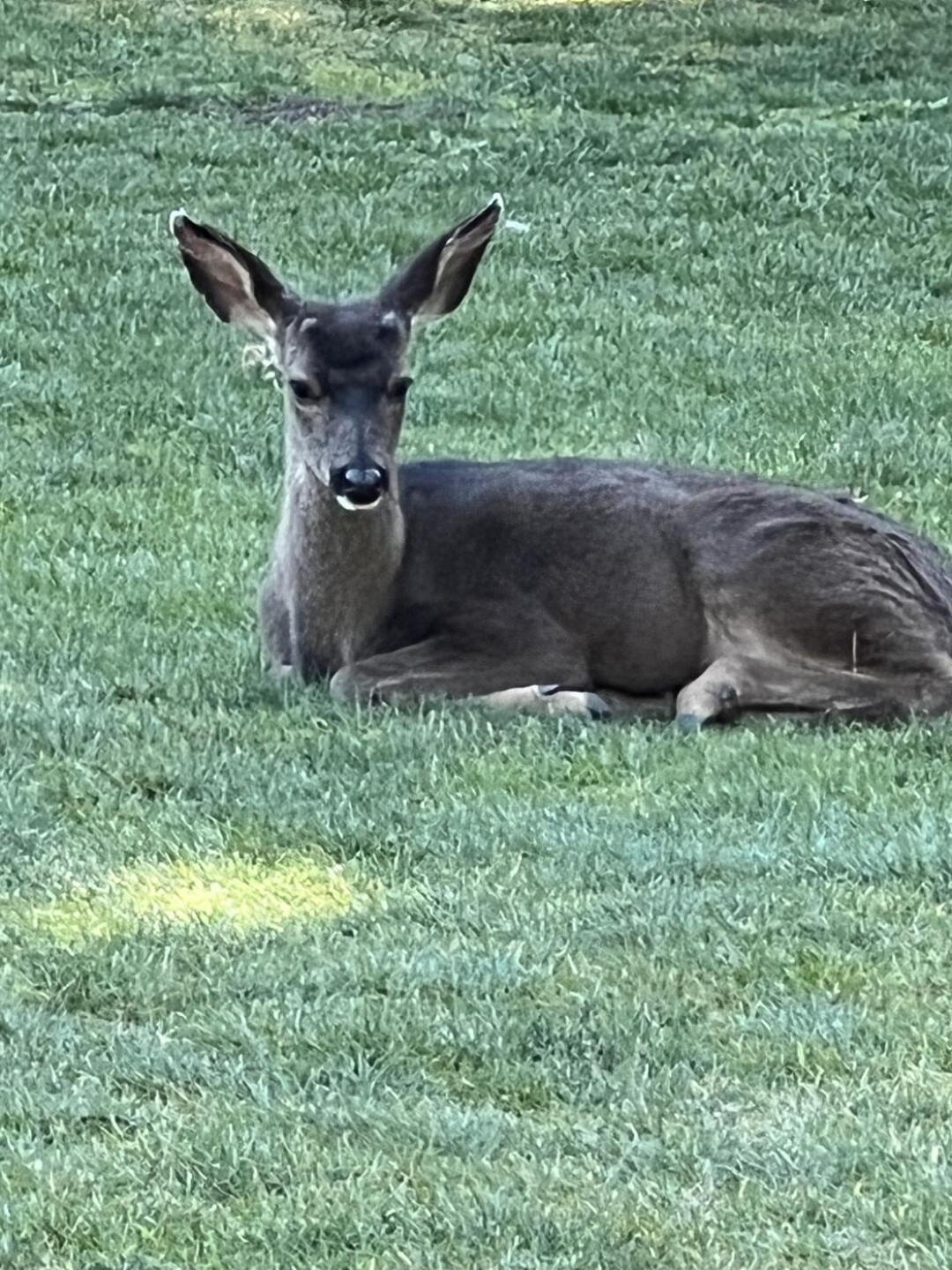 (Photo submitted by dcgolf77 on 05/05/2022)