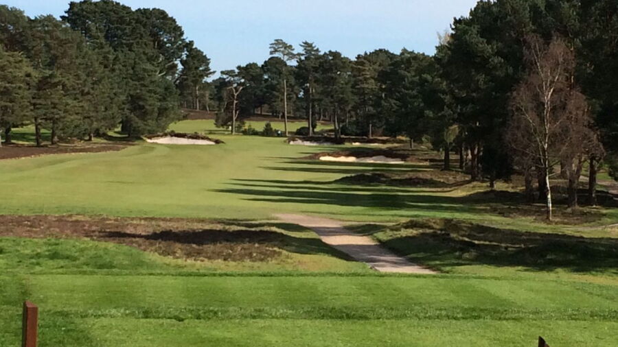 Ferndown GC - Old: #4