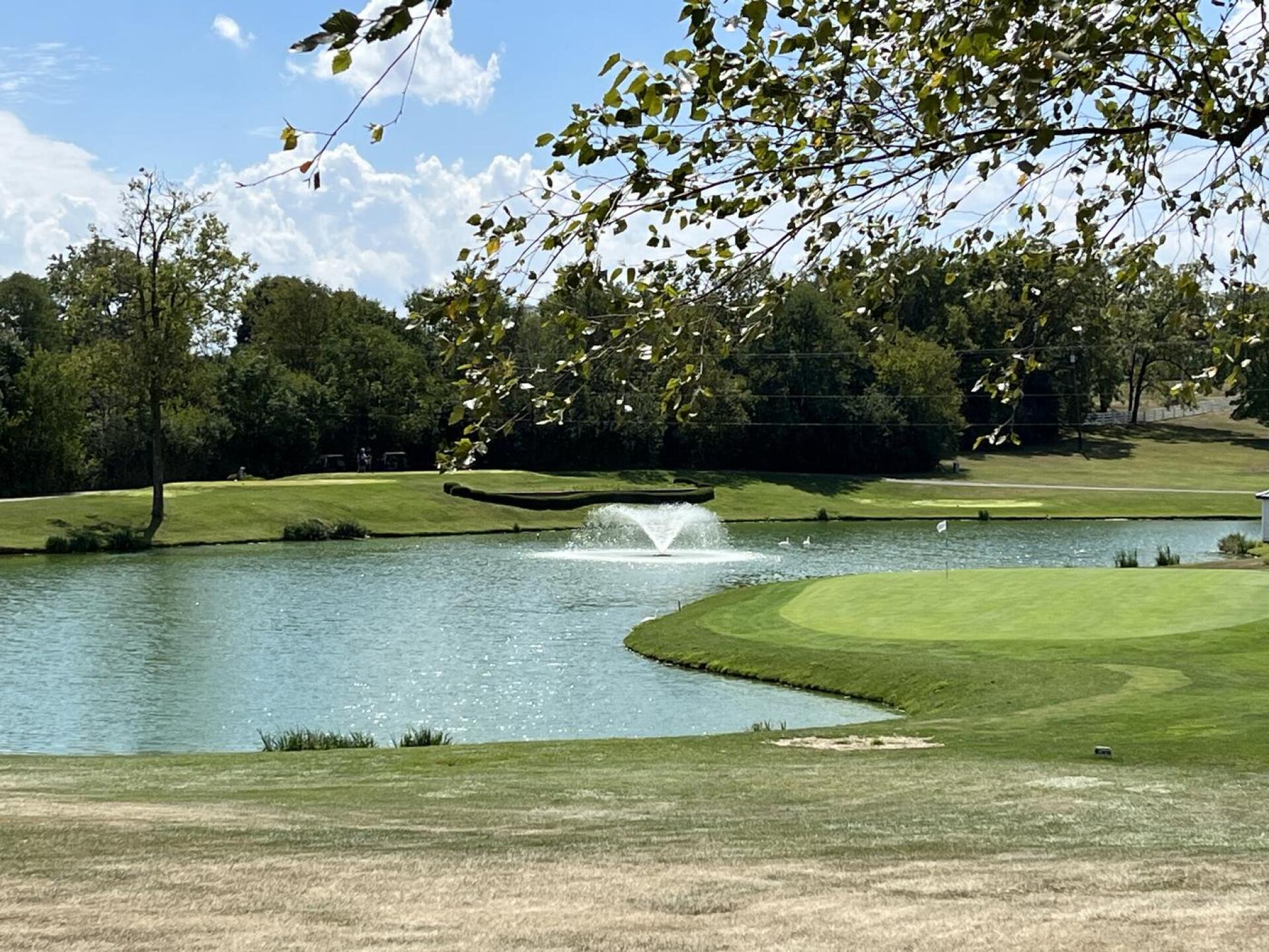 A view that can greet your approach to the 15th green (Photo submitted by Chuck2063203 on 09/06/2023)