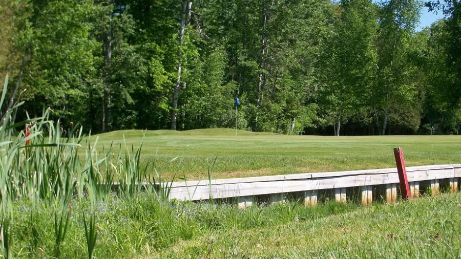 Mullett Lake CC: #2