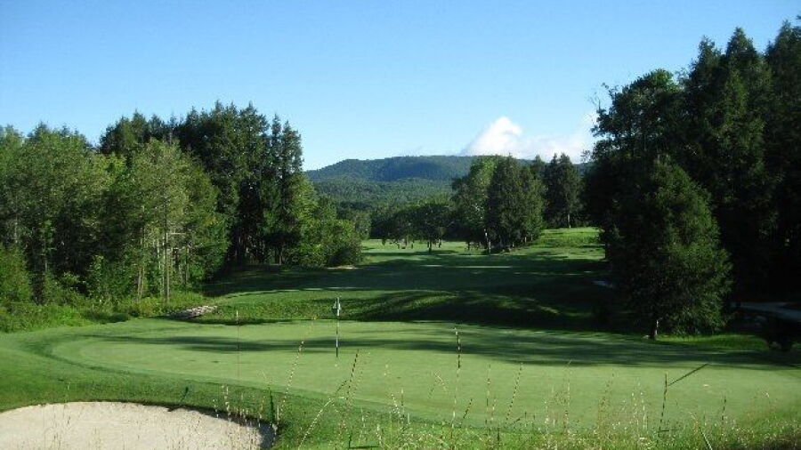 Dorset Field Club: #5