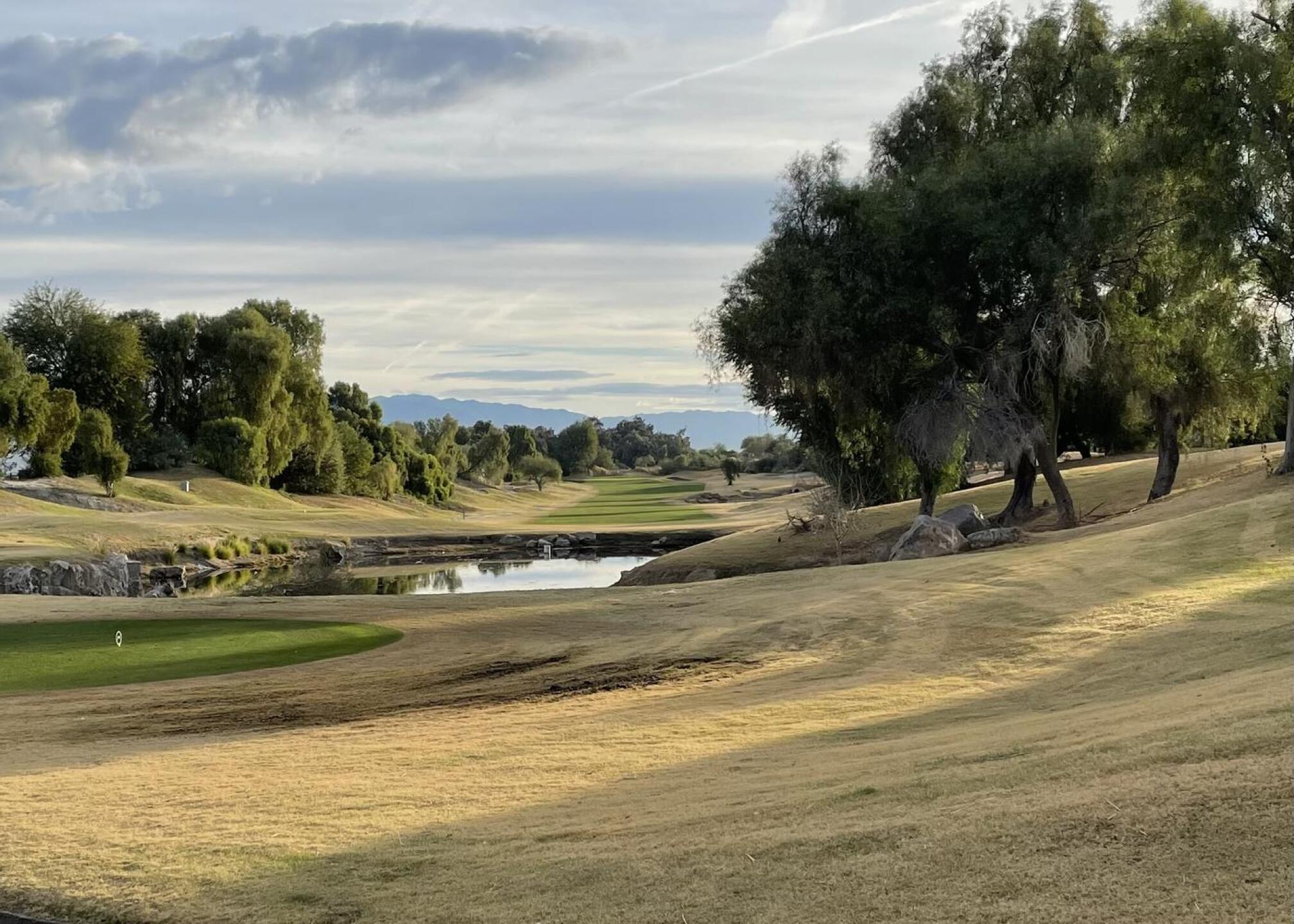 (Photo submitted by pkapalko1 on 12/26/2023)