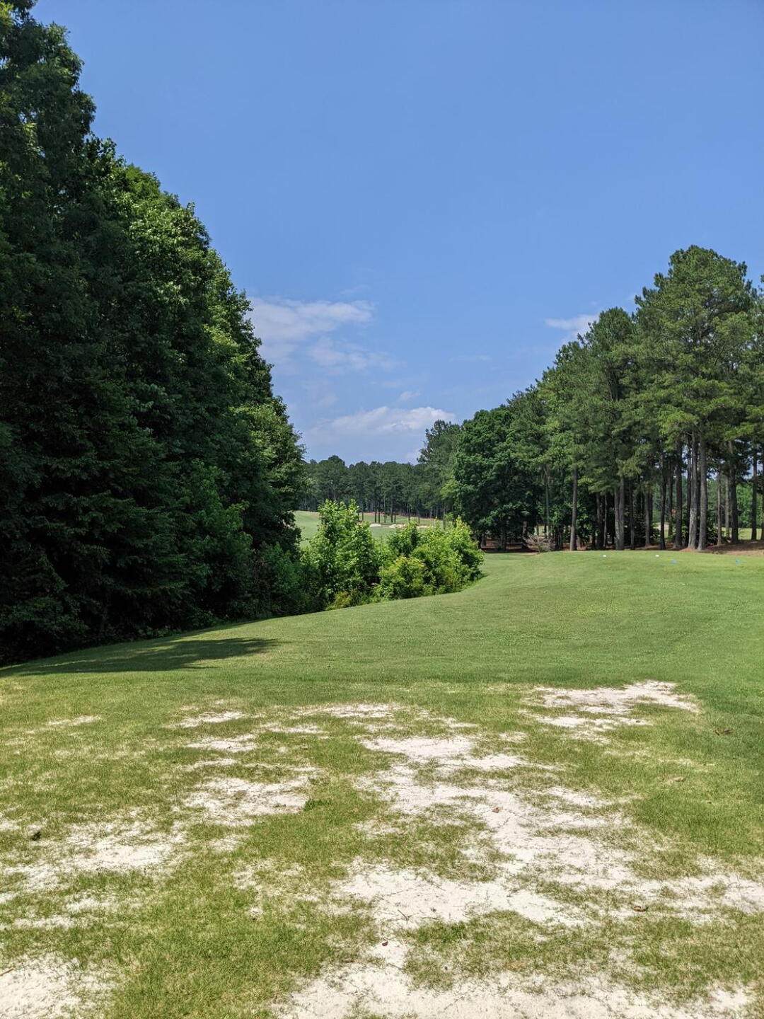 Bare tee box on #4 (Photo submitted by JaxonMac on 06/26/2022)