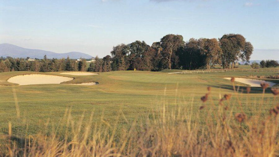 Gowran Park G & Race C: #17