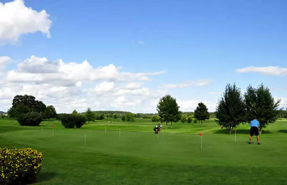 Alpirsbach GC: putting green