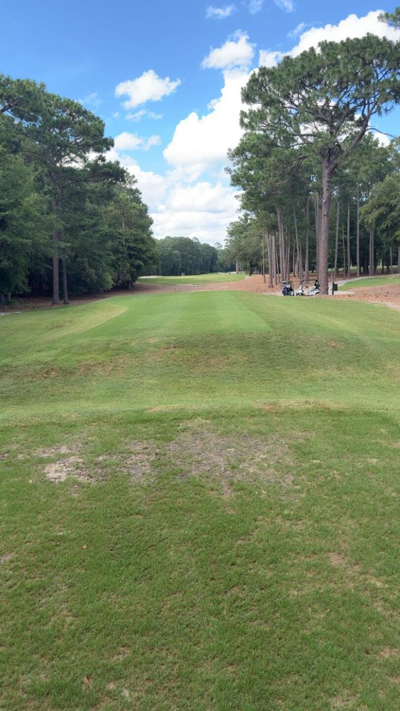 (Photo submitted by khammon9 on 06/17/2025)