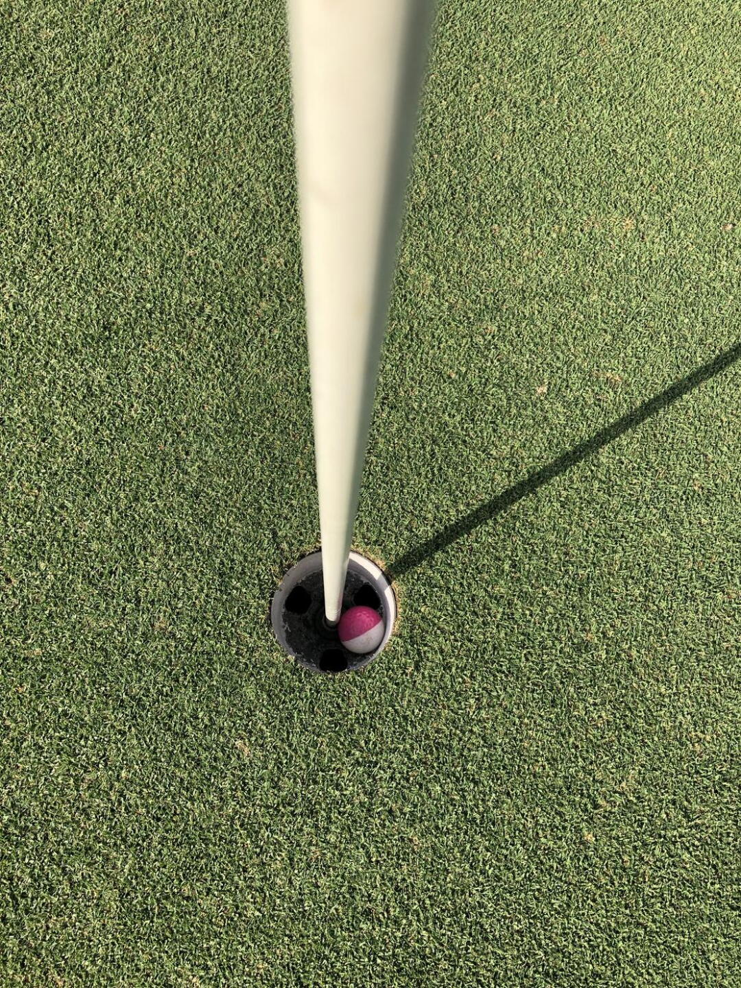 Hole in one (Photo submitted by hopers on 07/22/2021)