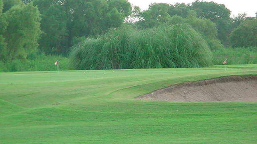 Pine Forest GC: Practice area