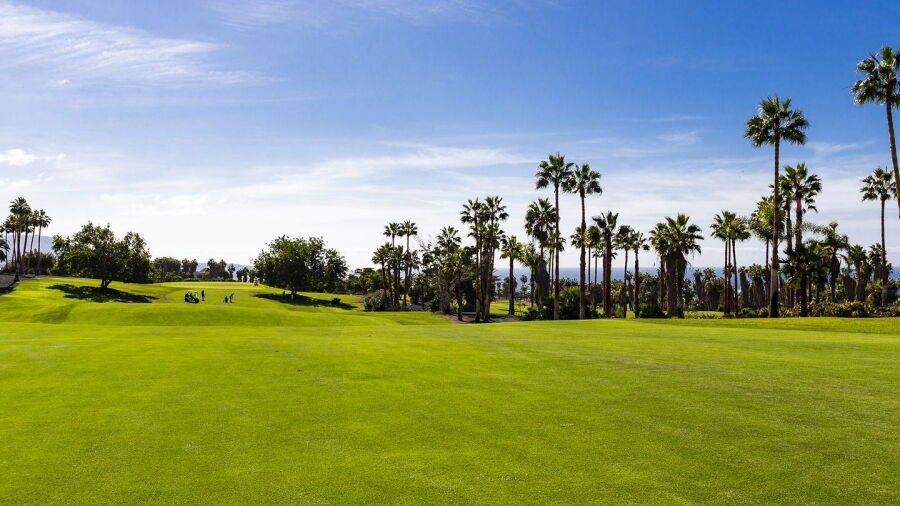 Costa Adeje GC - Championship