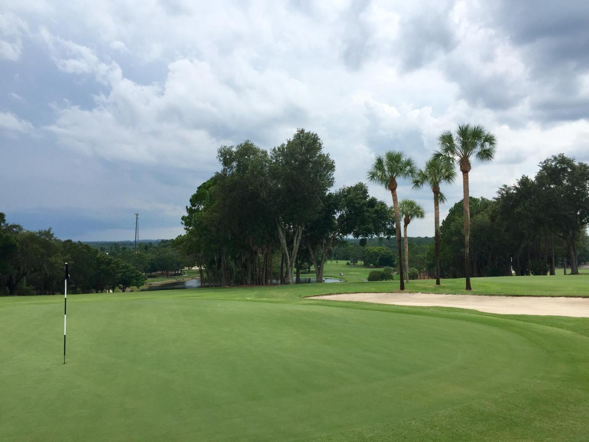 (Photo submitted by NickTaft on 09/12/2016)