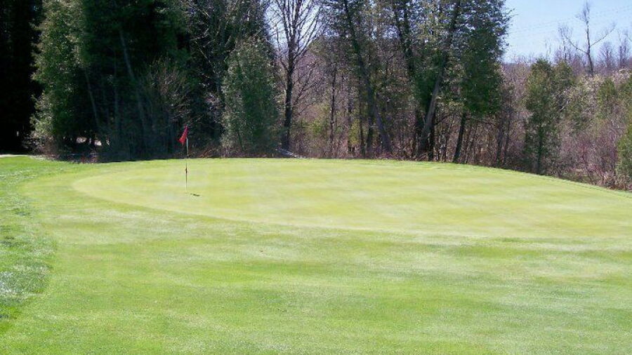 Oceana GC: #17