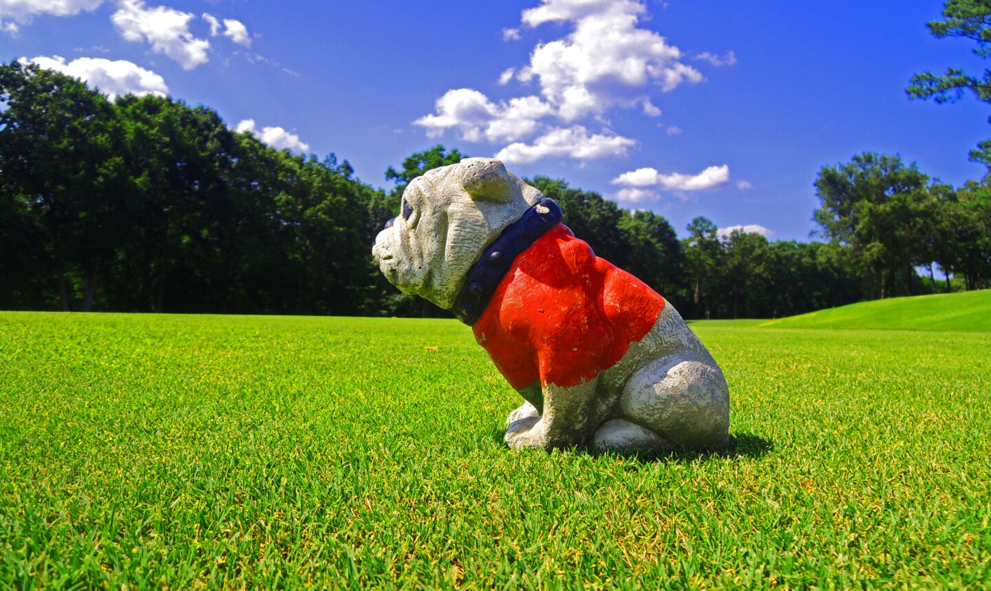 Expert local guide on the best of Atlanta golf
