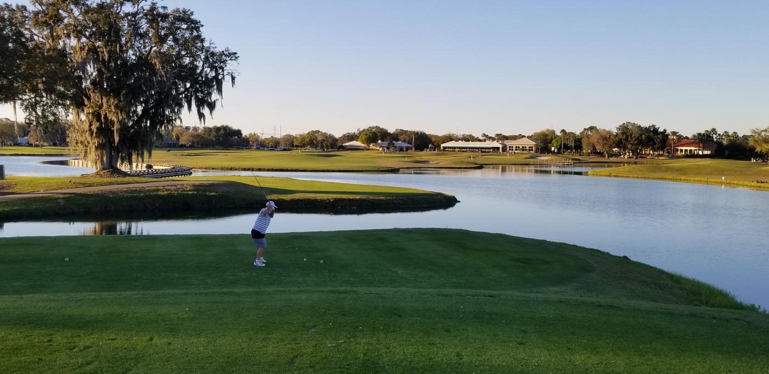 (Photo submitted by DaveLaw55 on 03/07/2021)