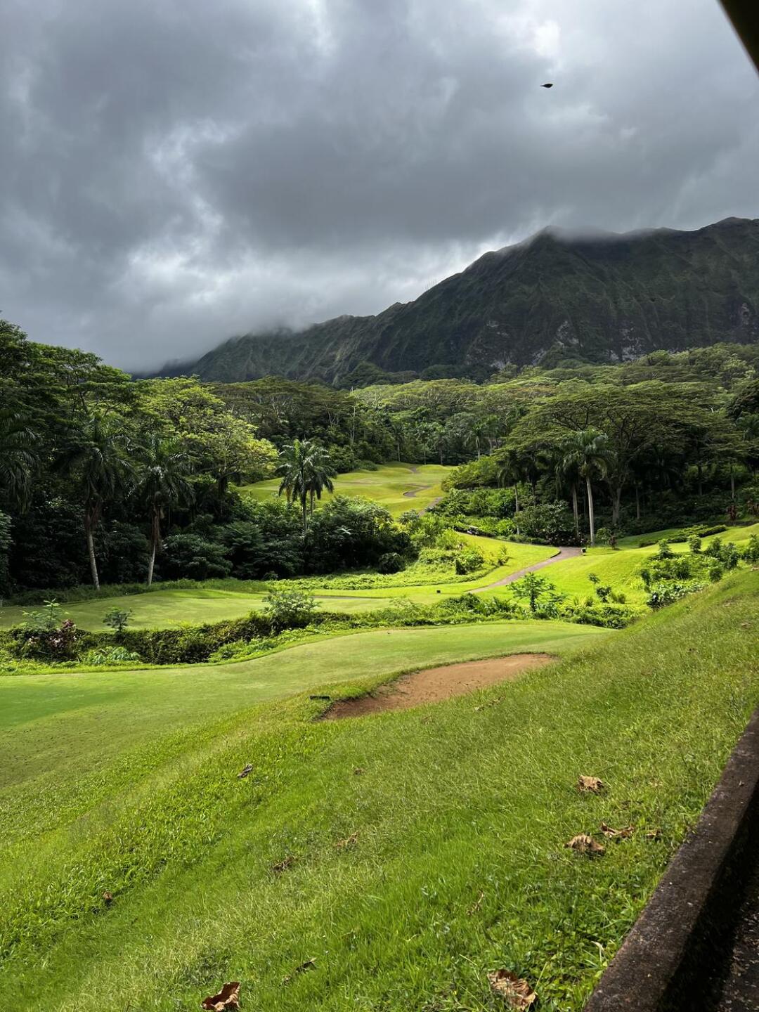 (Photo submitted by u314160796620 on 08/23/2023)