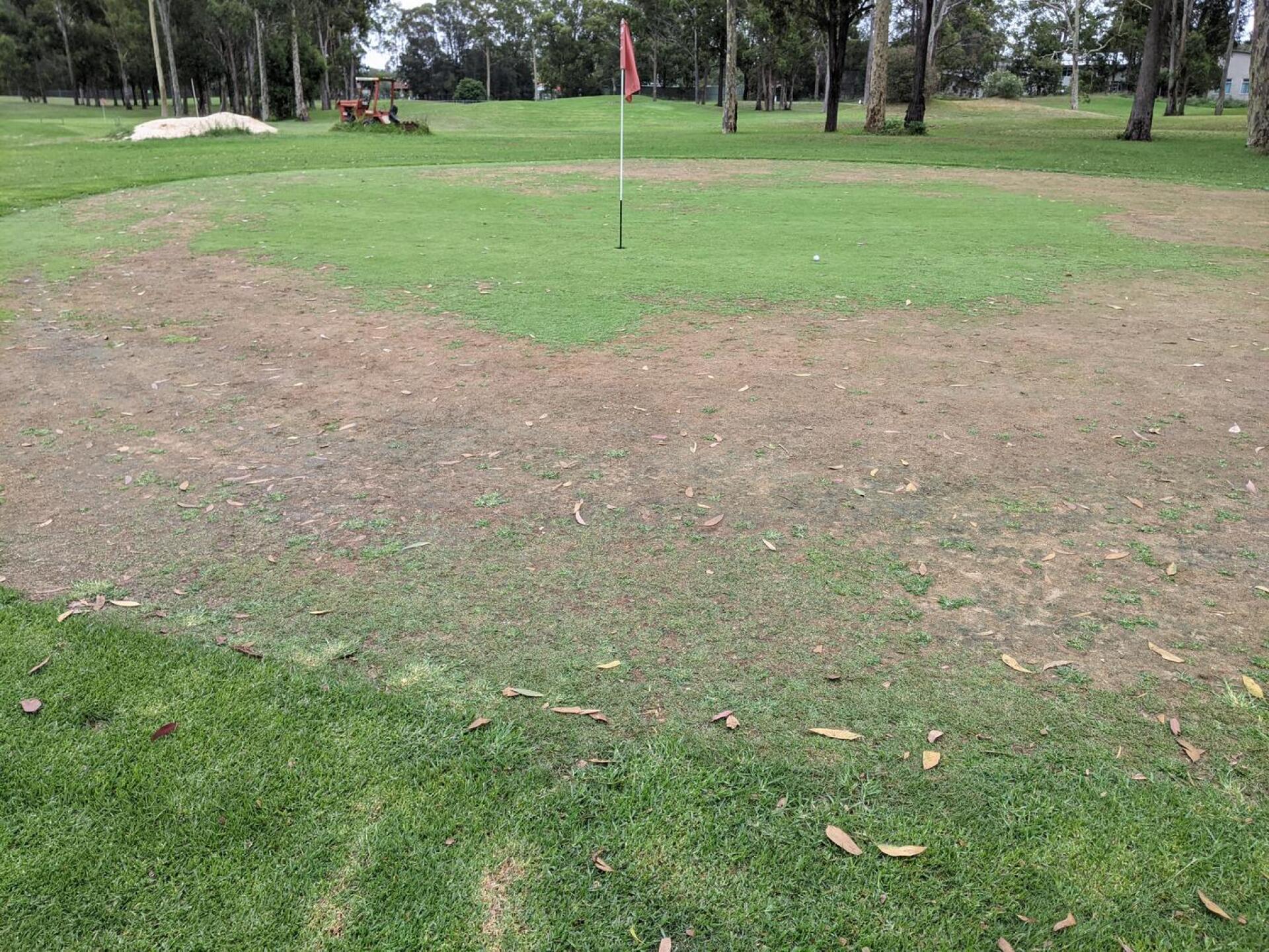 A typical example of the state of the "greens" (Photo submitted by u314161100904 on 12/21/2020)