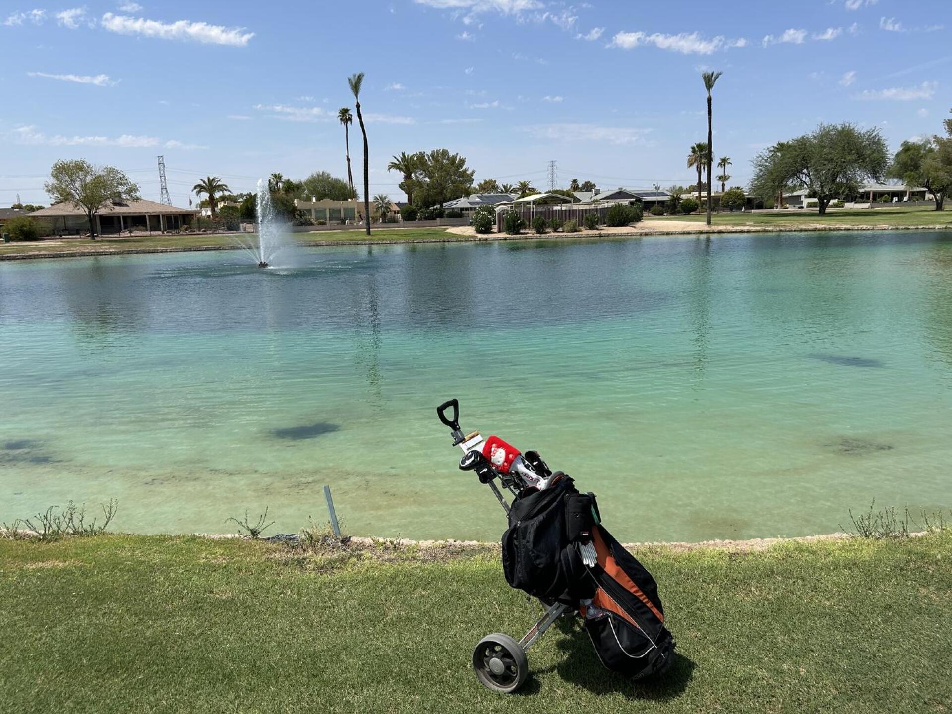 (Photo submitted by u314166763797 on 08/23/2025)