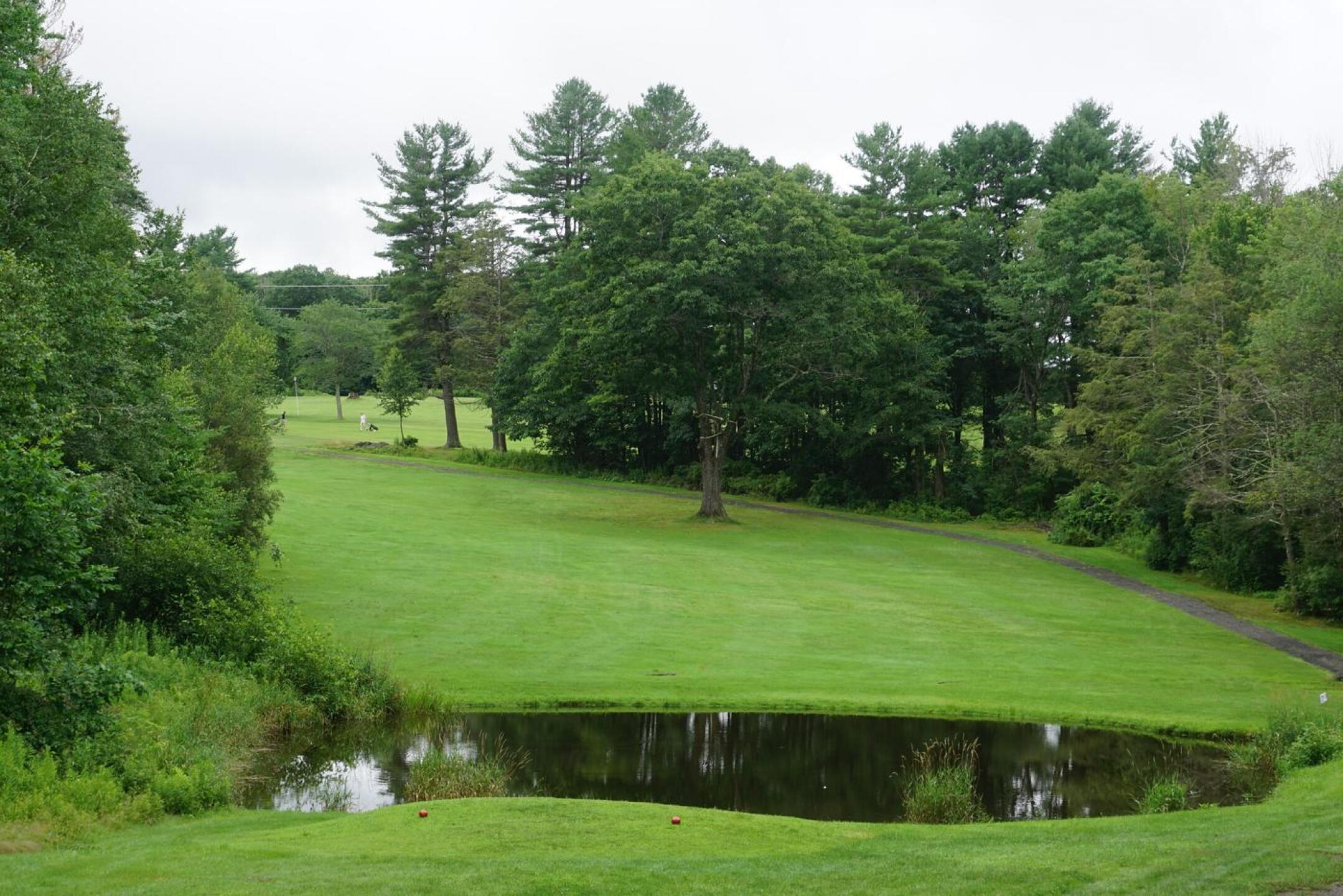 Nine’s landing zone is complicated by this imposing oak tree at the outside corner of the dogleg. (Photo submitted by AptlyLinked on 07/20/2021)