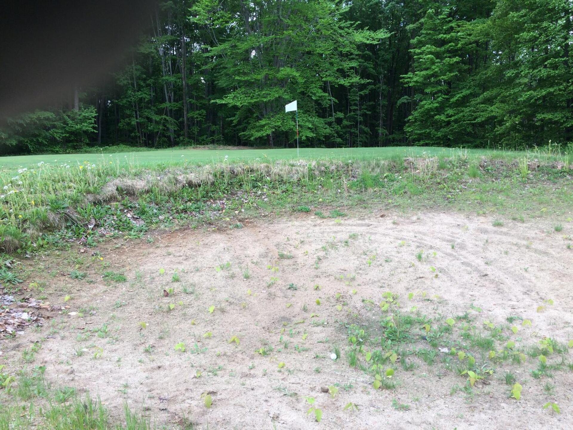 right side of 6th green (Photo submitted by HOTSPOTTS on 06/12/2018)