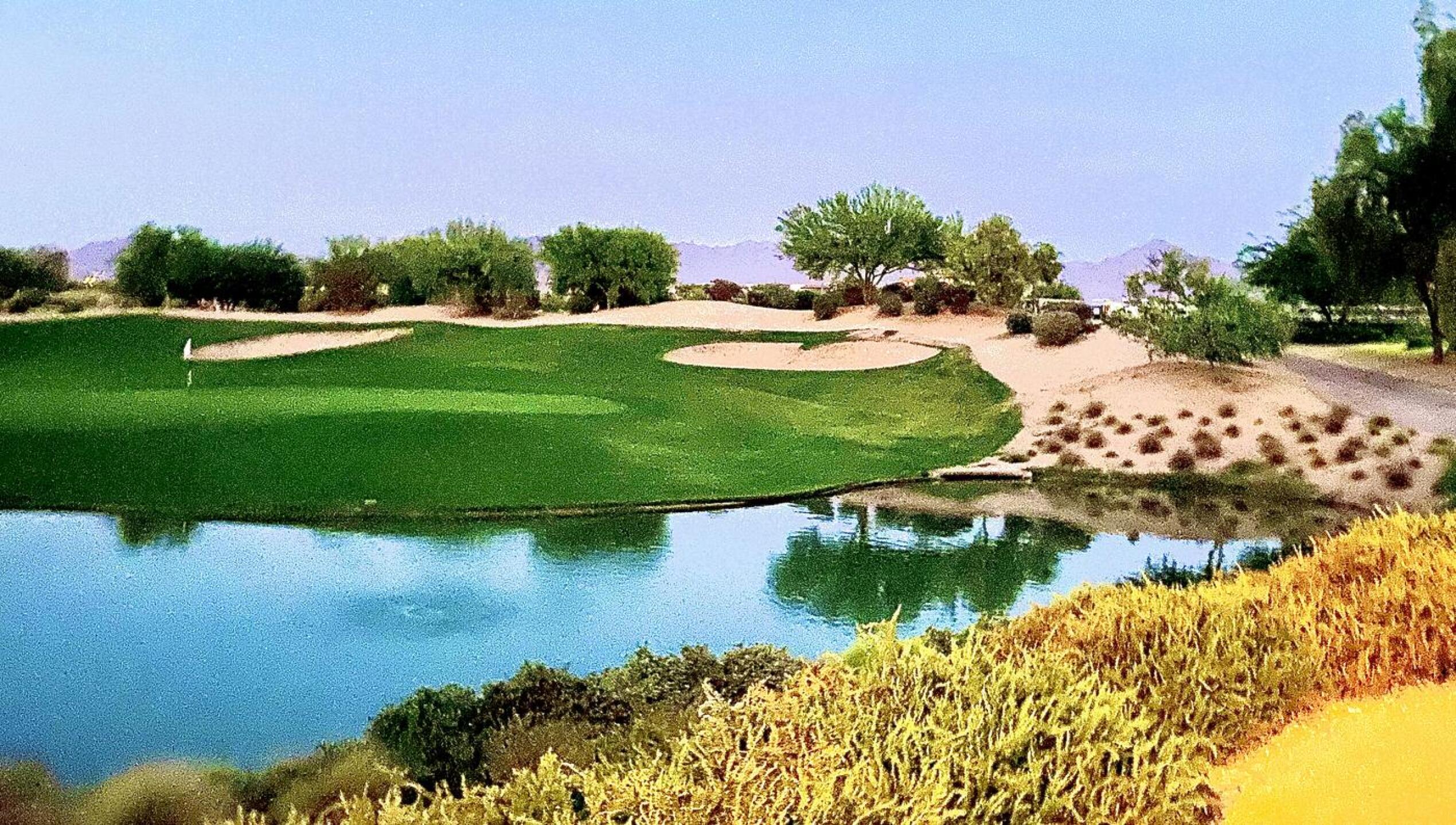 (Photo submitted by u432856256 on 10/18/2020)