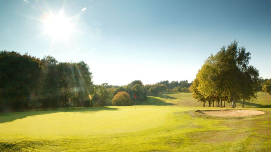 Welwyn Garden City GC: #16