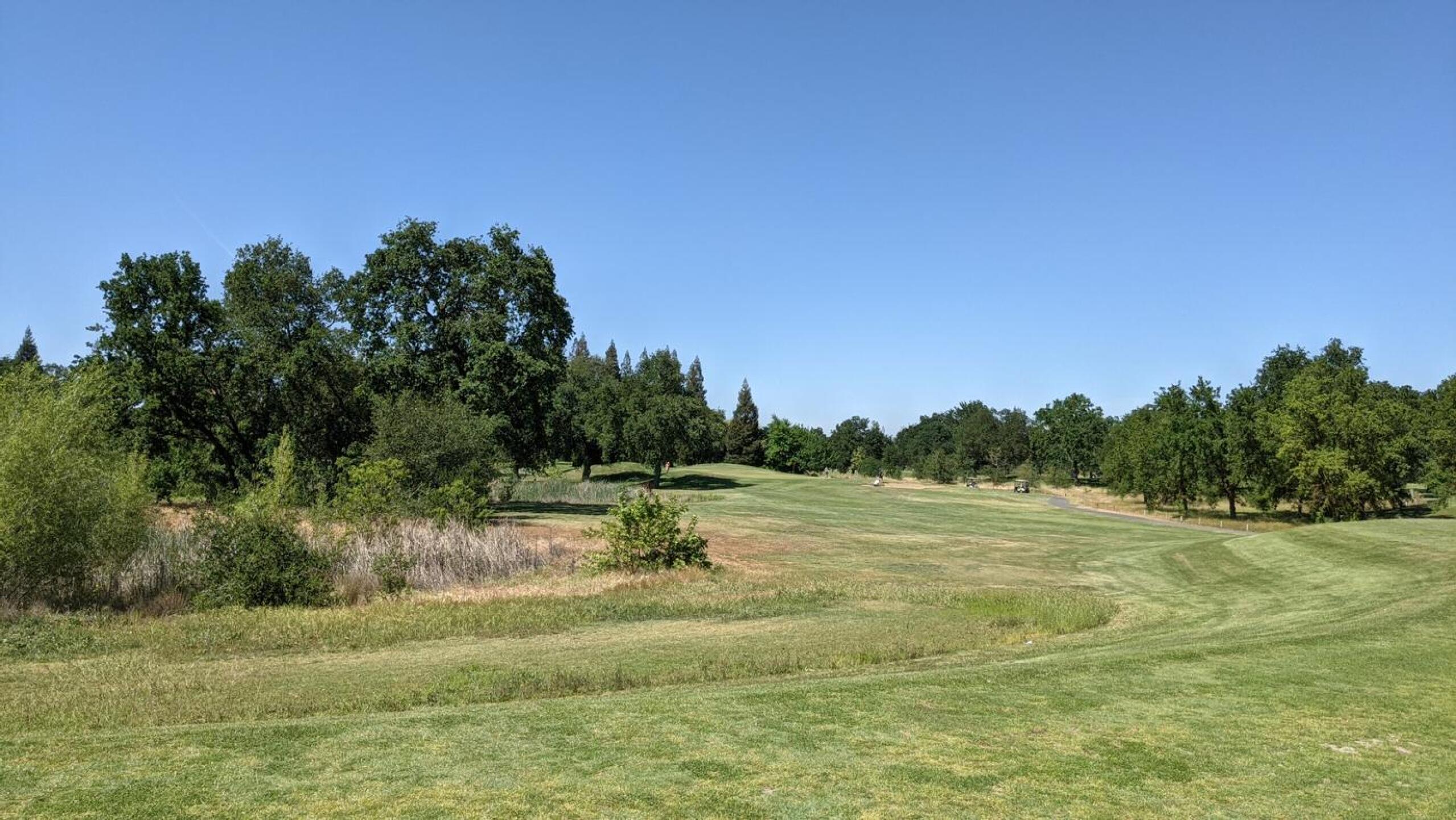 (Photo submitted by linz4ucla on 05/04/2021)