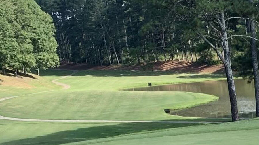 Arrowhead CC