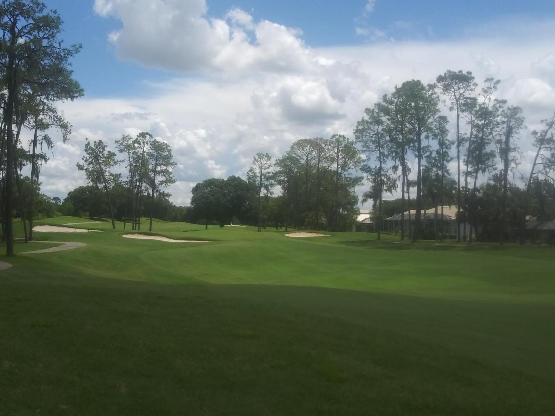 (Photo submitted by u000006681800 on 07/21/2020)