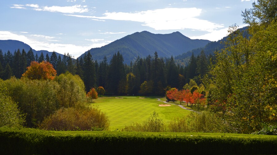 Resort at the Mountain - Pine Cone - no. 1