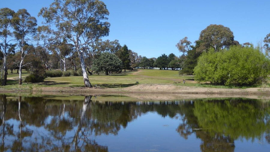Cooma GC