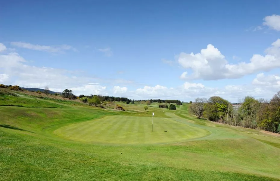 Carrickmines GC: #8