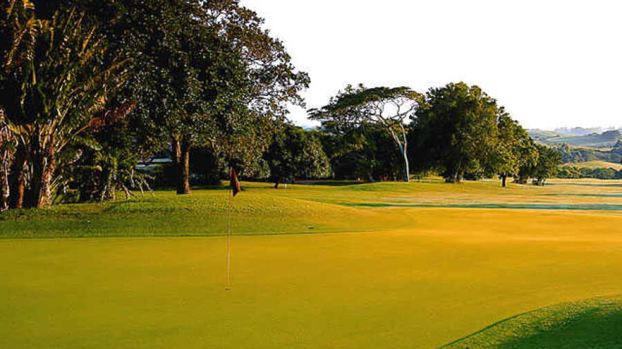 Selborne CC