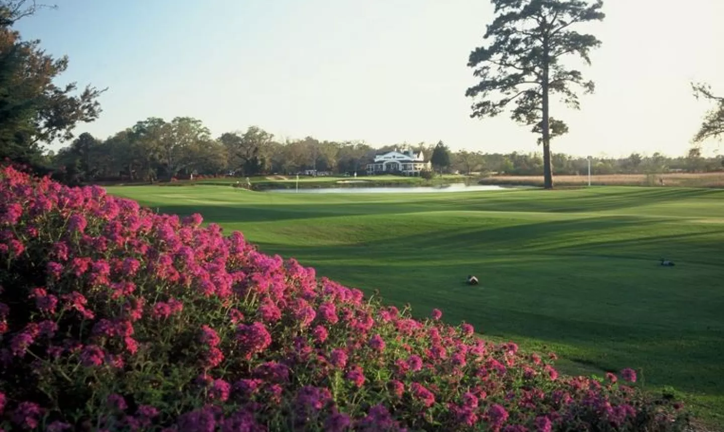 Caledonia Golf and Fish Club