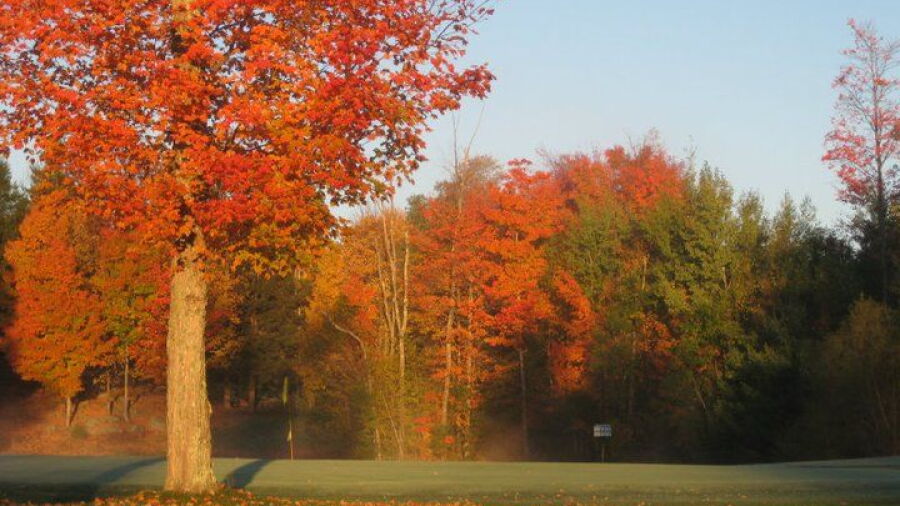 Loudon CC