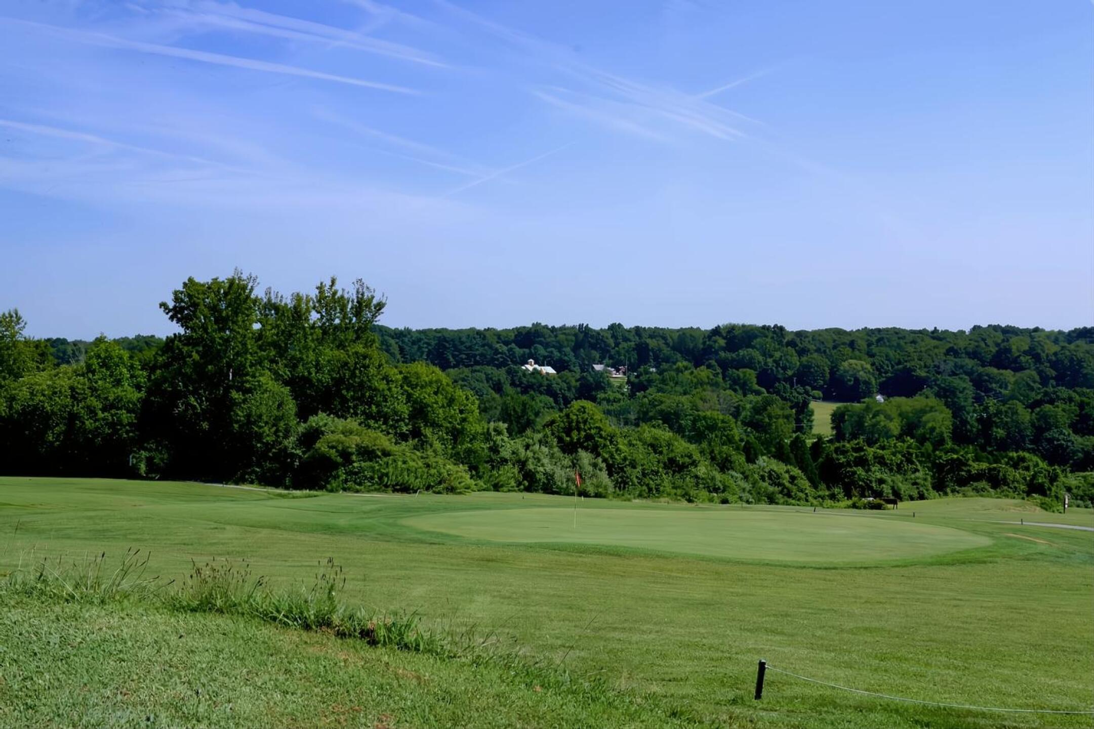 This excellent mid-length par-3 runs 160 yards, with a brushy depression in front of the tee box. (Photo submitted by AptlyLinked on 08/13/2025)