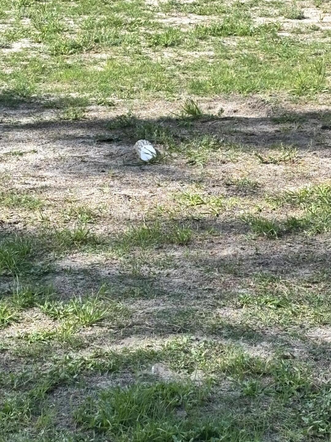 (Photo submitted by taazzgametime on 04/04/2026)