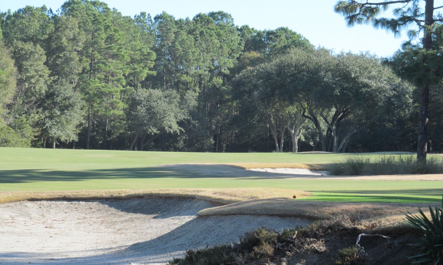 All Skill Levels Can Shine At True Blue Golf Plantation In Pawleys Island S C Myrtle Beach Golf