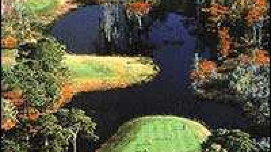 Gator Hole Golf Course