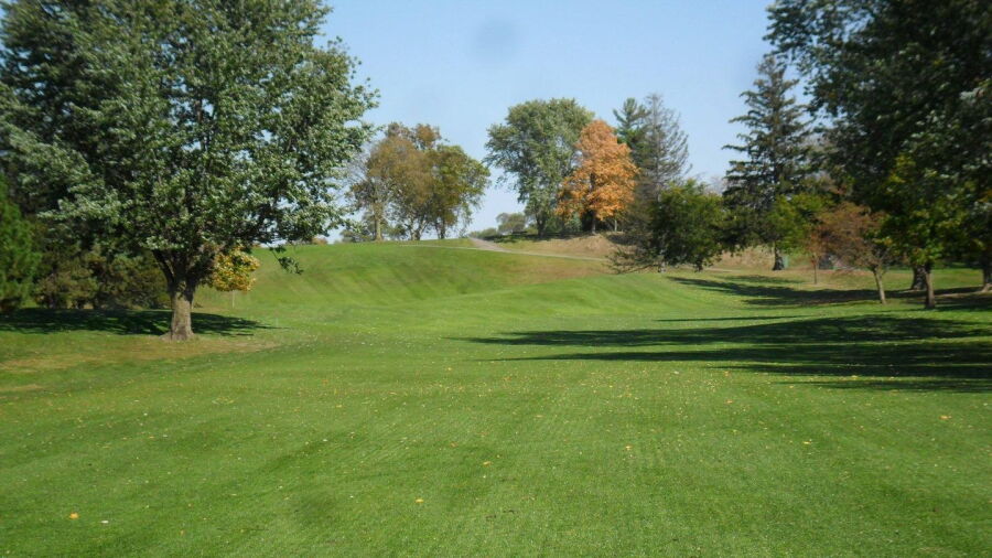 Napoleon GC: #8